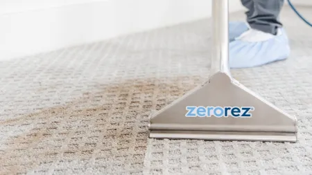 Professional carpet cleaning with Zerorez equipment removing dirt from a patterned light carpet.