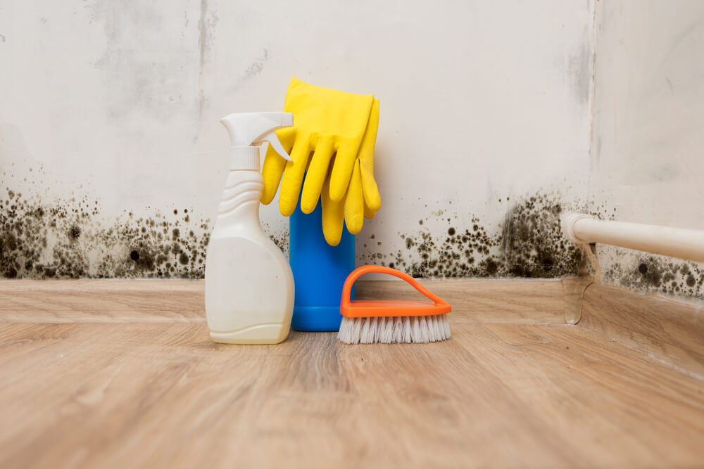 cleaning bathroom mold