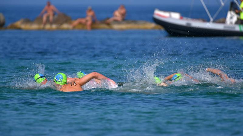 Swimmers in action 