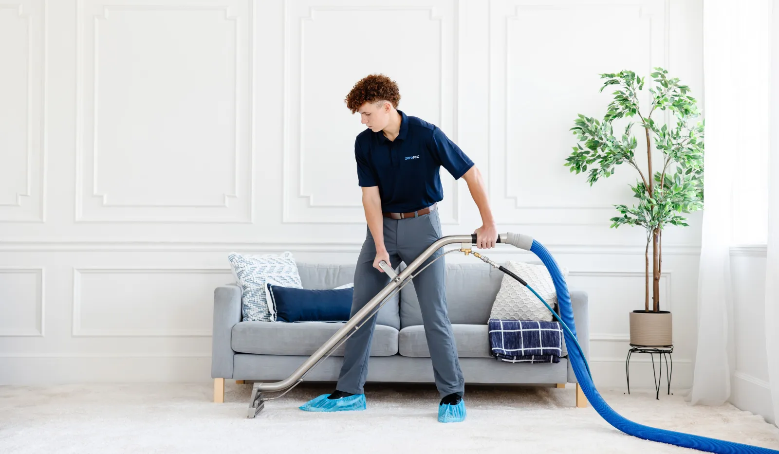 Professional cleaner using carpet cleaning machine in a bright living room with gray sofa and green plant