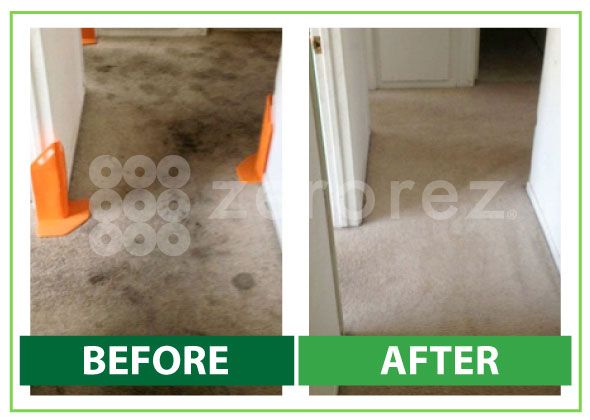 Before-and-after carpet cleaning in a hallway, showing heavily stained and spotted carpet on the left and a clean, light-colored carpet on the right with 