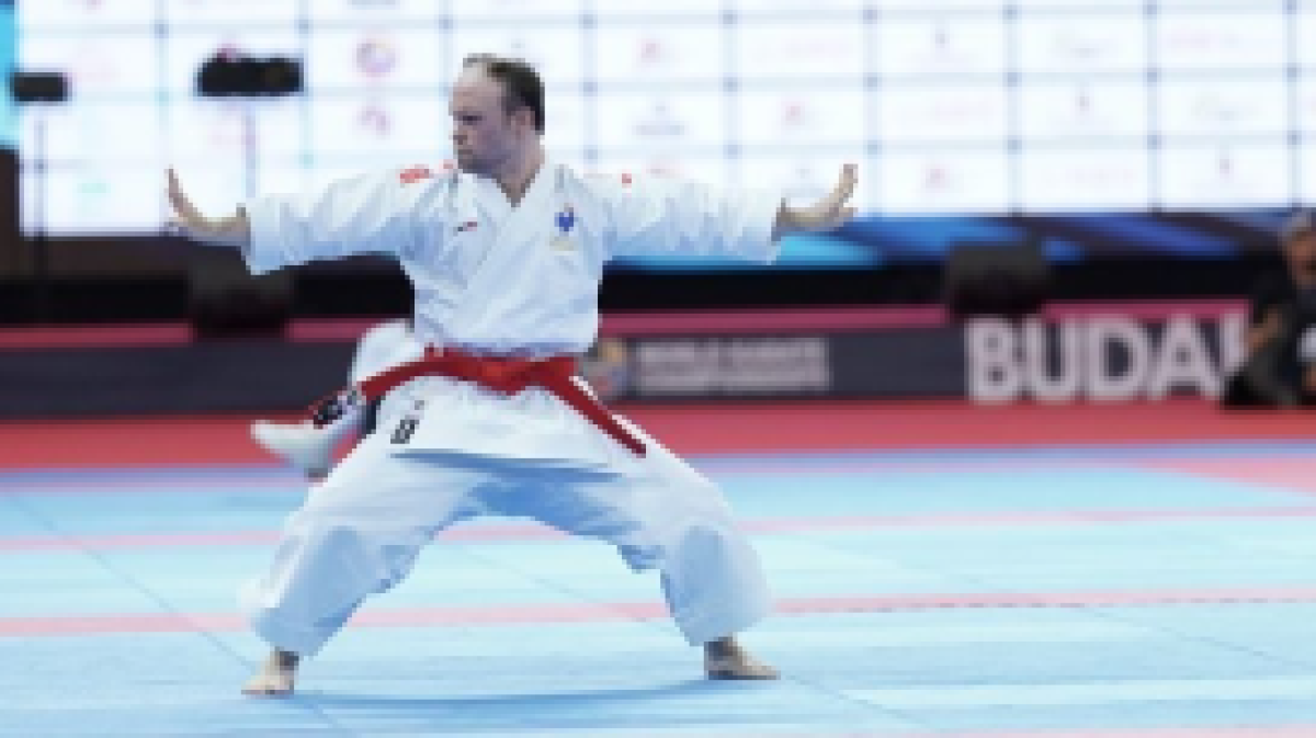 Para Karate