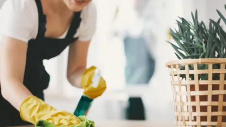 A person cleaning a wooden table with a spray bottle and cloth, surrounded by greenery in a bright room.